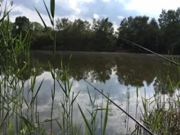 Hakenwerder (Nienburg)-2