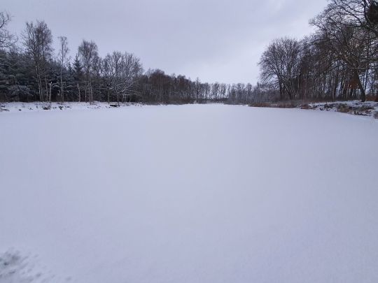 Entenmoor (Bandelstorf)-2