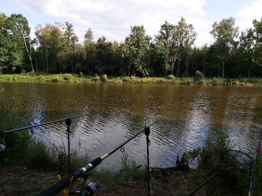 Entenmoor (Bandelstorf)-4