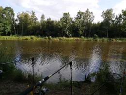 Entenmoor (Bandelstorf)