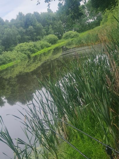 Entenmoor (Bandelstorf)-3