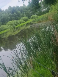 Entenmoor (Bandelstorf)-3