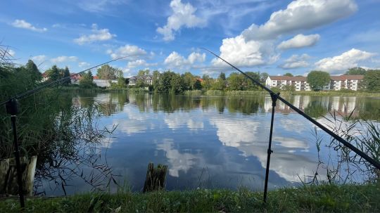 Kaiserteich (Osterode)-2