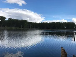 Westerwiese (Unseburg)