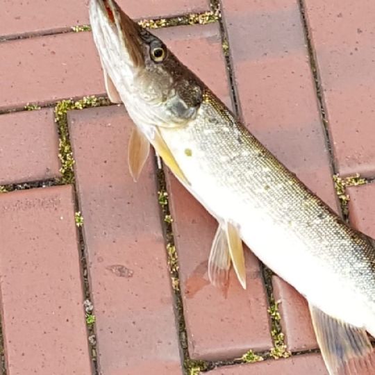 Hauptkanal Papenburg-4