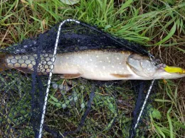 Hauptkanal Papenburg-3