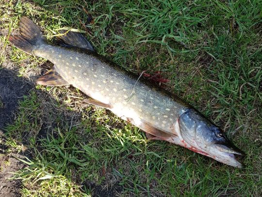 Hauptkanal Papenburg-1