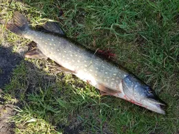 Hauptkanal Papenburg-1