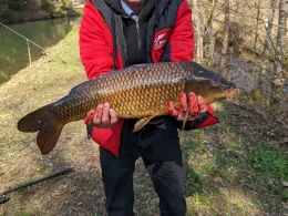 Kleiner See an der Teinach 