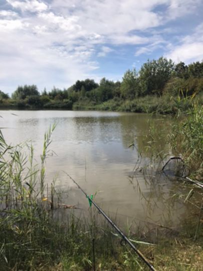 Pumpenteich (Dölzig)-3