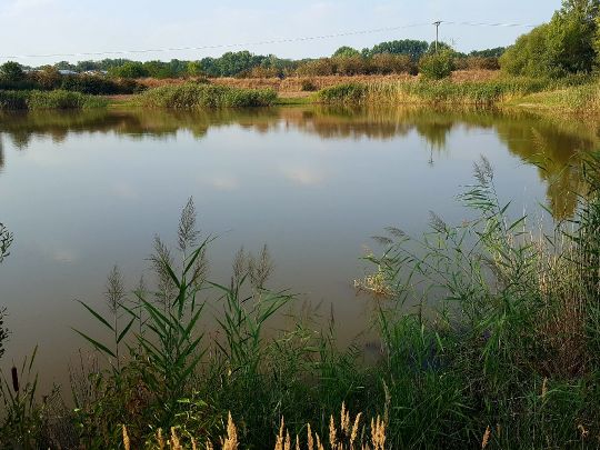 Pumpenteich (Dölzig)-1