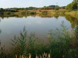 Pumpenteich (Dölzig)-1