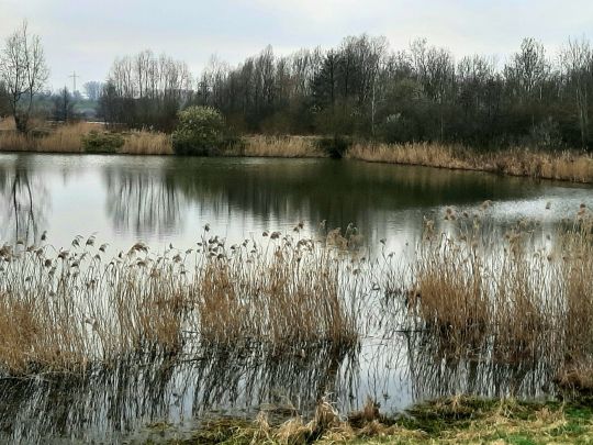 Pumpenteich (Dölzig)-2