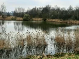 Pumpenteich (Dölzig)-2