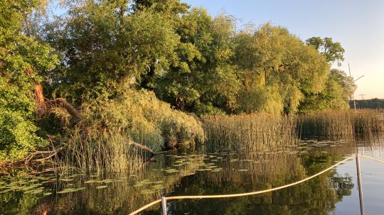 Stienitzsee (Rudersdorf)-4