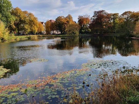 Arthur-Bretschneider-Park (Leipzig)-1