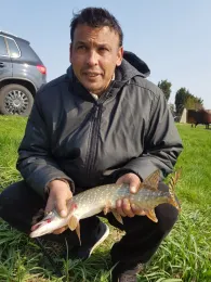 Wörnitz (Wassertrüdingen)