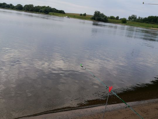 Elbe (Wittenberge)-3