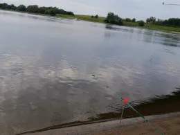 Elbe (Wittenberge)-3