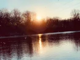 Rhein (Efringen-Kirchen)