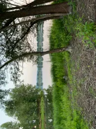 Doktorsee 1 (Rinteln)-2