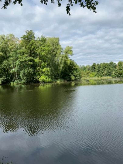 Hammerteich (Kreba-Neudorf)-3