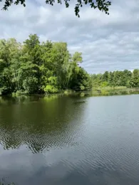 Hammerteich (Kreba-Neudorf)-3