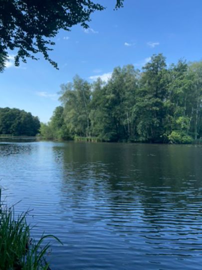 Hammerteich (Kreba-Neudorf)-4