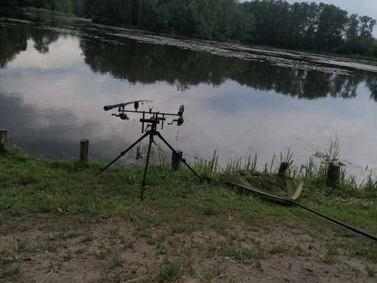 Hammerteich (Kreba-Neudorf) angeln