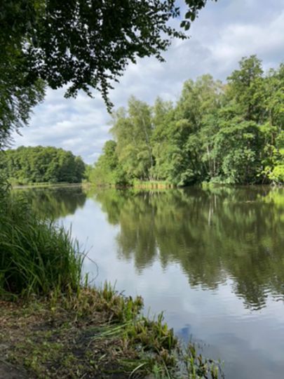 Hammerteich (Kreba-Neudorf)-2