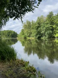 Hammerteich (Kreba-Neudorf)-2