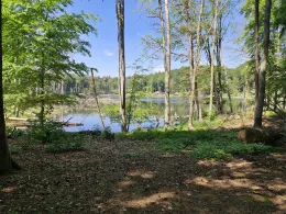 Teufelssee (Tornow)-1