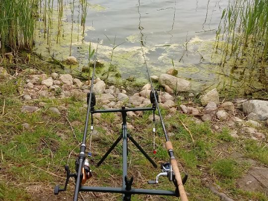 Grünower See (Prenzlau)-3