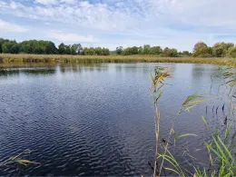 Grünower See (Prenzlau)-4