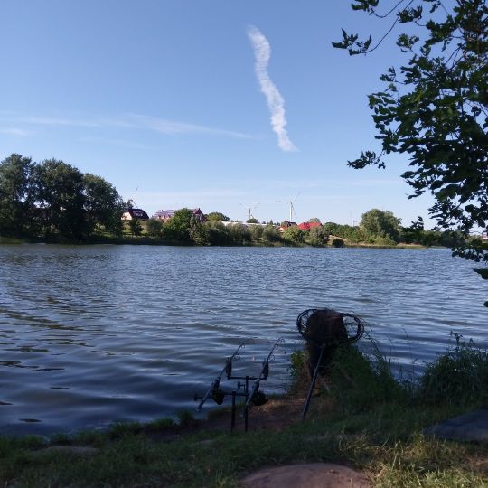 Grünower See (Prenzlau) angeln