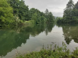 Altwasser Mühlbach (Dietfurt)-1