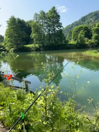 Altwasser Mühlbach (Dietfurt)-2