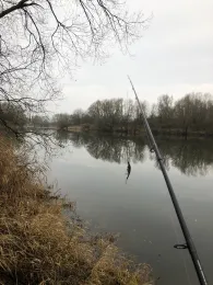 Schweinebucht Varenholz