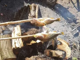 Nieder-Mooser-Teich-0