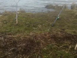 Nieder-Mooser-Teich-2