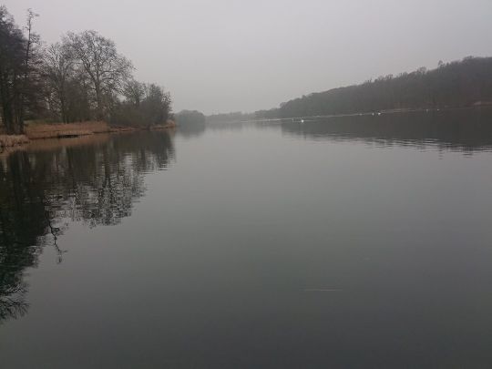 Groß Behnitzer See-2