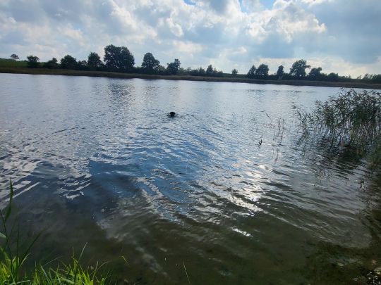 Tiefer See (Gaarz)
