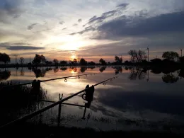Manne's Angelteich im Winkel-2