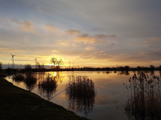 Manne's Angelteich im Winkel-3