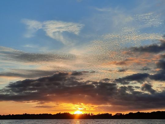 Inselsee (Güstrow)-3