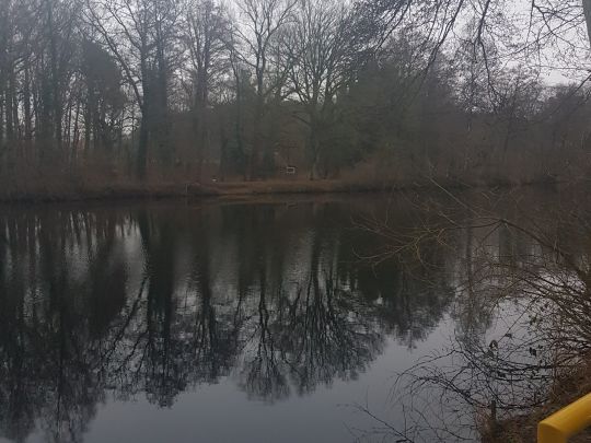 Nollmannsee-2