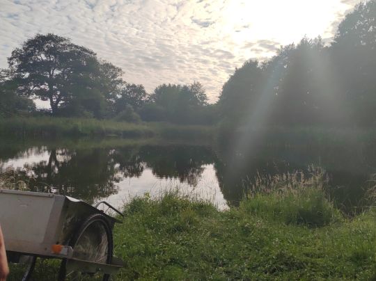 Wiesensee (Brickeln)-1