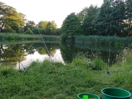 Wiesensee (Brickeln)