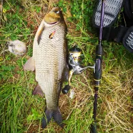 Neue Sorge (Christiansholm)-1