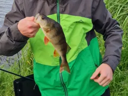 Neue Sorge (Christiansholm)-3